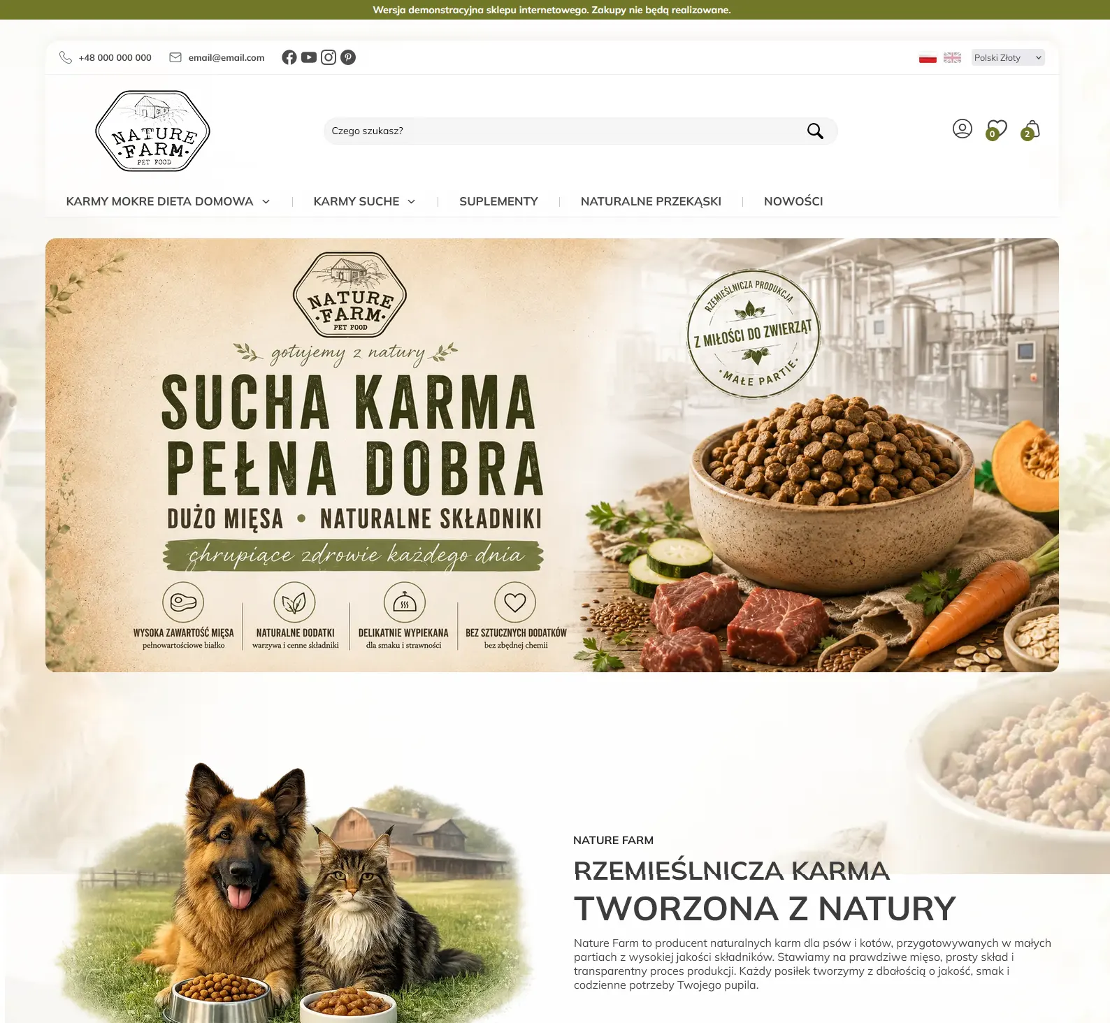 Podgląd szablonu Atelier